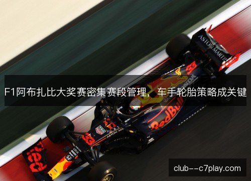 F1阿布扎比大奖赛密集赛段管理，车手轮胎策略成关键